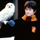 Image for article titled The Harry Potter Play Opening Next Year Won't Be a Prequel